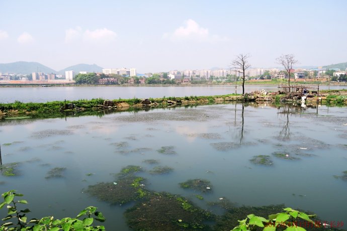 長沙后湖現(xiàn)狀